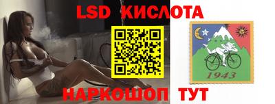 гашик Можга