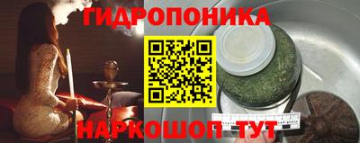 гашик Можга
