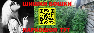 гашик Можга