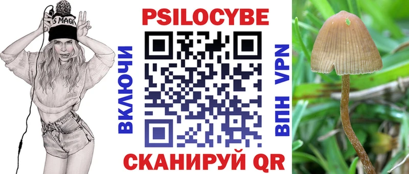 Псилоцибиновые грибы Magic Shrooms  Алапаевск 