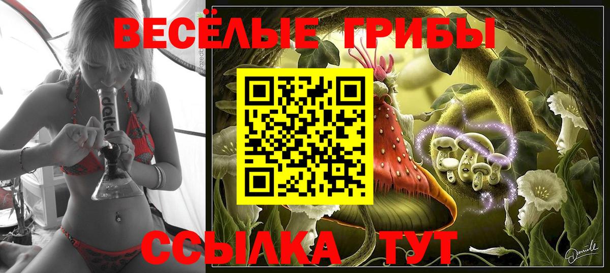 Алапаевск  Псилоцибиновые грибы мицелий  Вход с VPN 