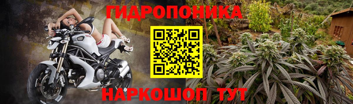 МАРИХУАНА THC 21%  Шишки марихуана White Widow  Алапаевск  Конопля план  Конопля Ganja  Вход с VPN 